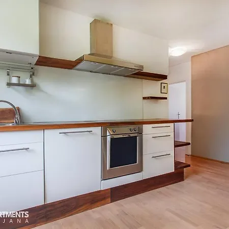 70 Square M With Balcony+parking+ac * Ljubljana